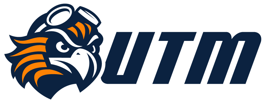 Tennessee-Martin Skyhawks 2020-Pres Alternate Logo diy iron on heat transfer